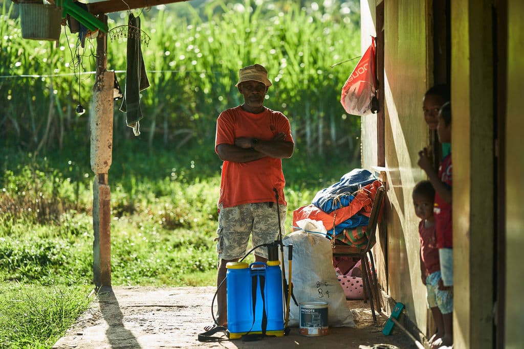 Kava root quality inspection