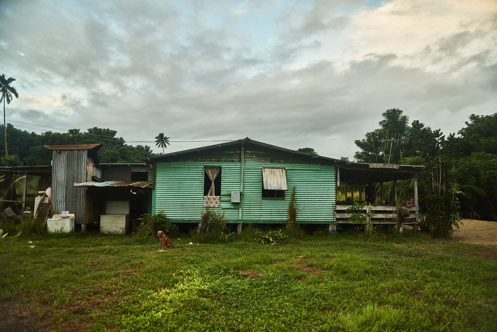 Legal Status of Kava in Australia: A Guide